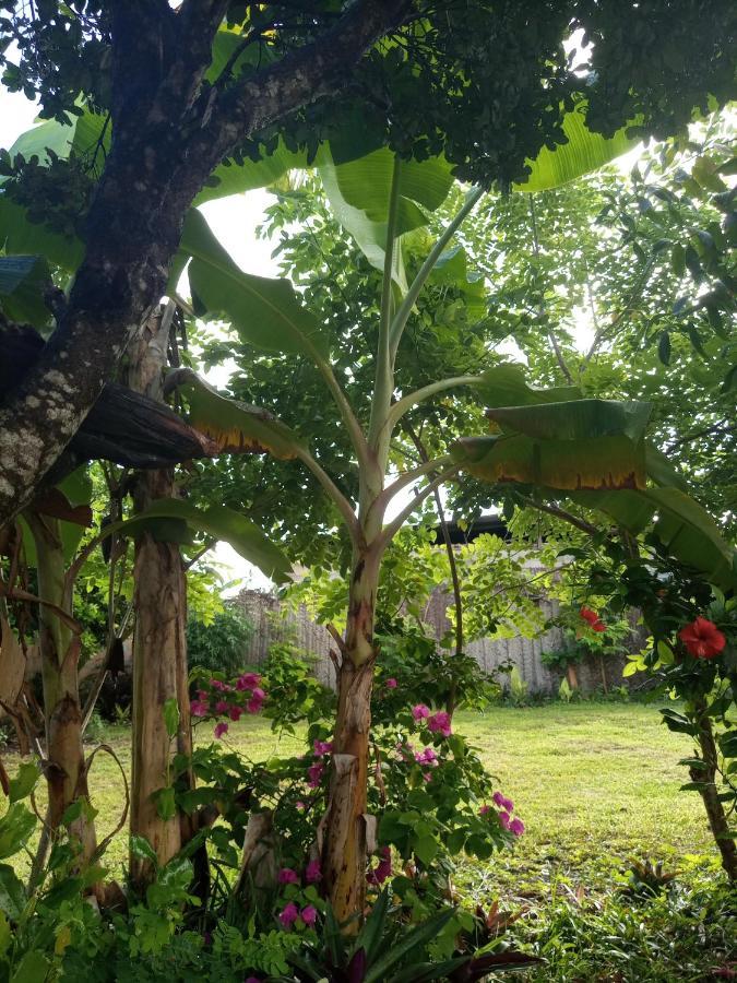 Sweet Home Kiwengwa  ภายนอก รูปภาพ