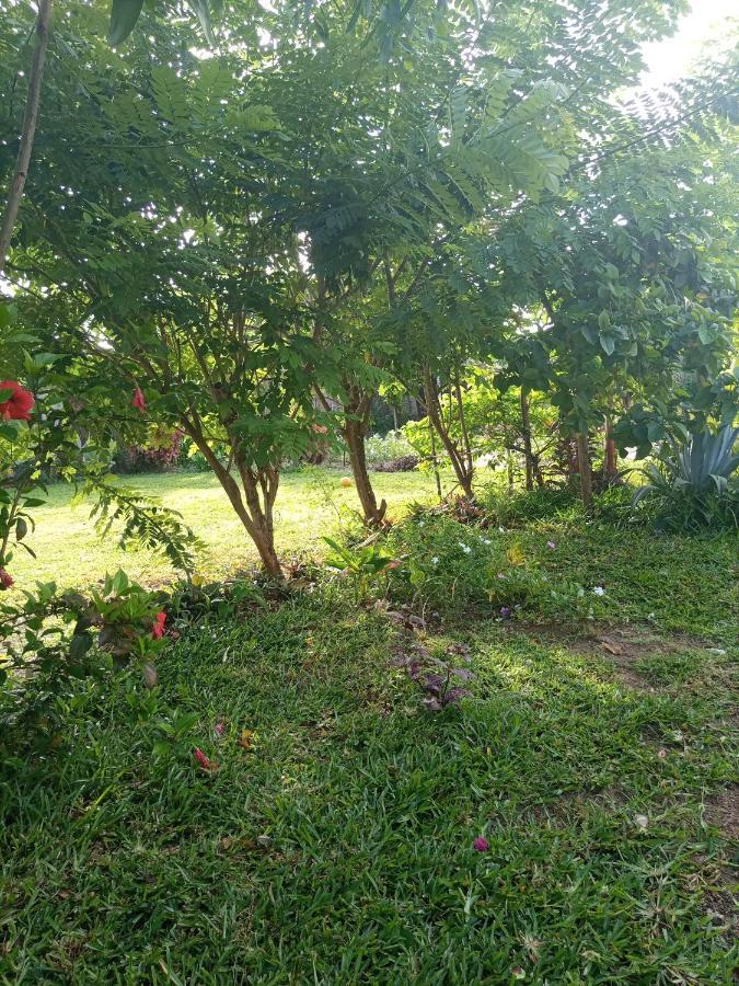 Sweet Home Kiwengwa  ภายนอก รูปภาพ