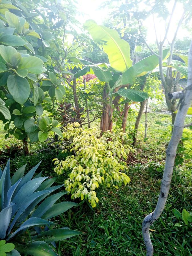Sweet Home Kiwengwa  ภายนอก รูปภาพ